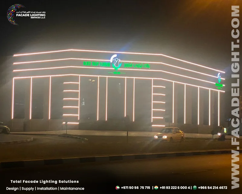 black tulip facade lightings