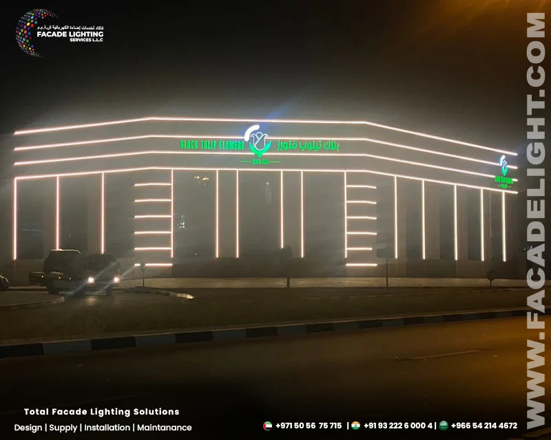 facade lighting black tulip