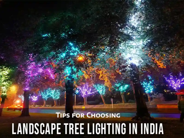 landscape tree lighting india